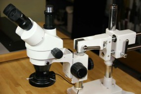 Normal Microscope Angle
