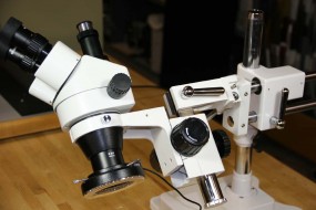 Microscope Body Can Tilt To Any Angle